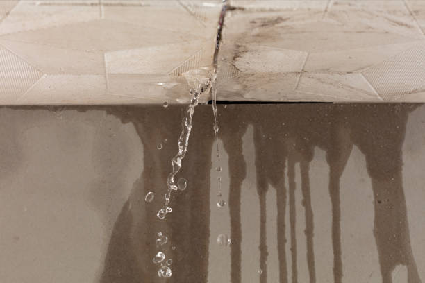 Professional Water Damage Repair technician working in Wallis, TX